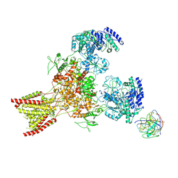BU of 10fo by Molmil