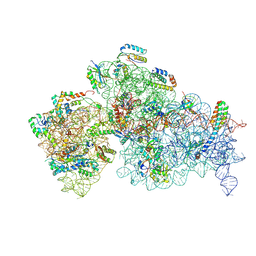 BU of 10fz by Molmil