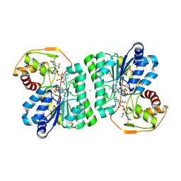 BU of 10ke by Molmil