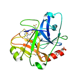 BU of 10qs by Molmil