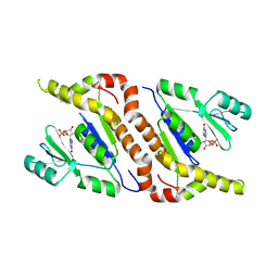 BU of 10sr by Molmil