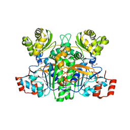 BU of 10ui by Molmil