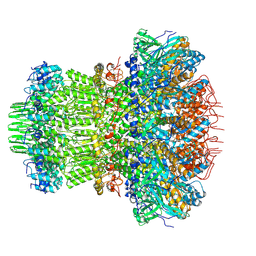 BU of 11bp by Molmil