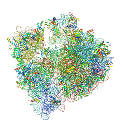 BU of 11fv by Molmil