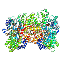 BU of 11nc by Molmil