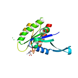 BU of 11qe by Molmil