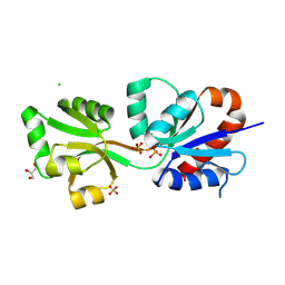 BU of 11te by Molmil