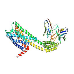 BU of 11tf by Molmil