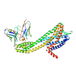 BU of 11th by Molmil