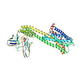 BU of 11tk by Molmil