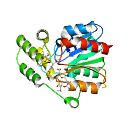 BU of 11tu by Molmil