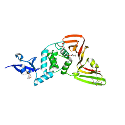 BU of 13mi by Molmil