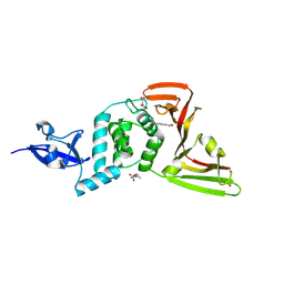 BU of 13mo by Molmil