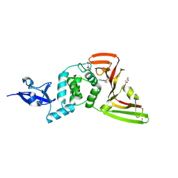 BU of 13nc by Molmil