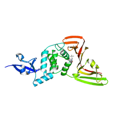 BU of 13nd by Molmil