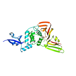 BU of 13ph by Molmil