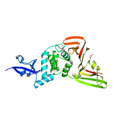 BU of 13pi by Molmil