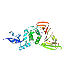 BU of 13pn by Molmil