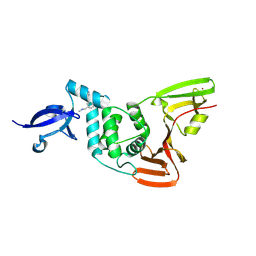 BU of 13pp by Molmil