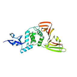 BU of 13ps by Molmil