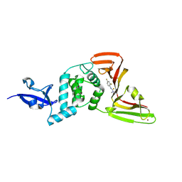 BU of 13pw by Molmil