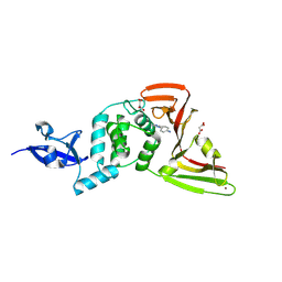 BU of 13qa by Molmil