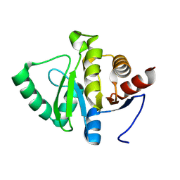 BU of 13ro by Molmil