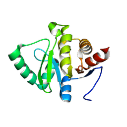 BU of 13rp by Molmil