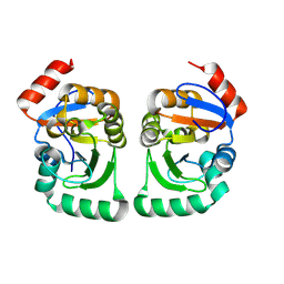 AU of 13rr by Molmil