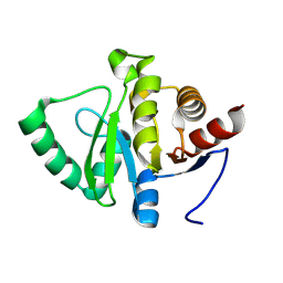 BU of 13ry by Molmil