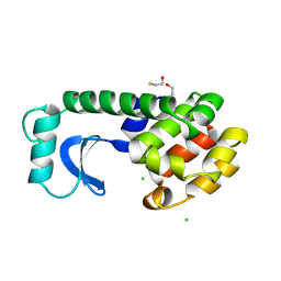 BU of 190l by Molmil