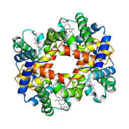 AU of 1a0x by Molmil