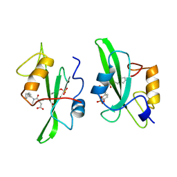 BU of 1a1c by Molmil