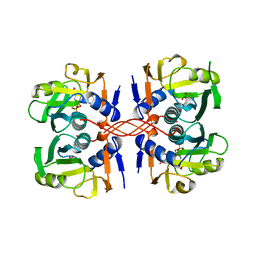 BU of 1a95 by Molmil