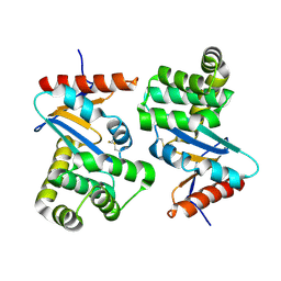 BU of 1ac1 by Molmil