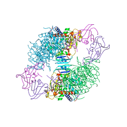 BU of 1acm by Molmil