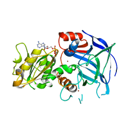 AU of 1adh by Molmil