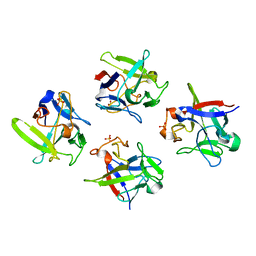 AU of 1afg by Molmil