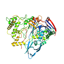 BU of 1ajp by Molmil