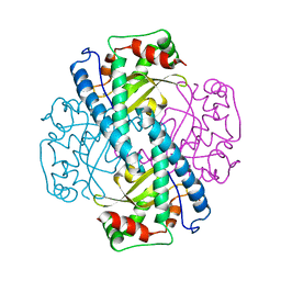 BU of 1ap6 by Molmil