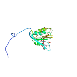 BU of 1ap8 by Molmil