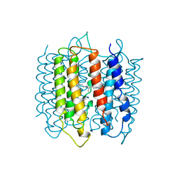 BU of 1ap9 by Molmil