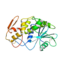 AU of 1apa by Molmil