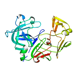 AU of 1app by Molmil