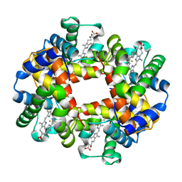 AU of 1axf by Molmil