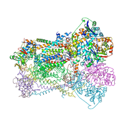 BU of 1bcc by Molmil