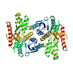 BU of 1bdm by Molmil