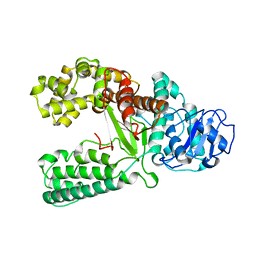 AU of 1bdp by Molmil