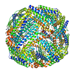 BU of 1bfr by Molmil