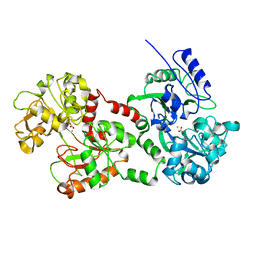 AU of 1bgr by Molmil